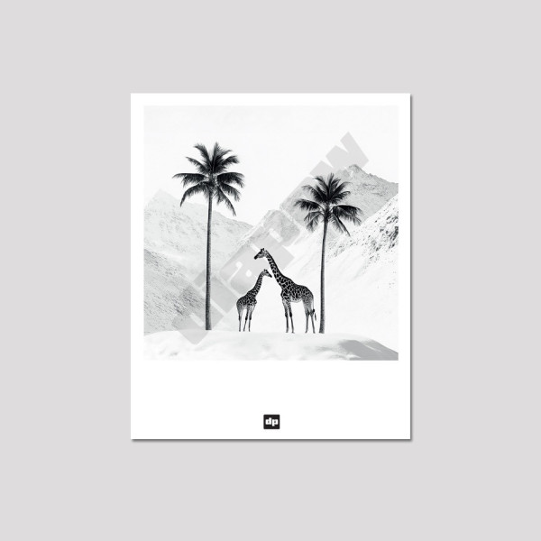 Photo noir et blanc d’une savane enneigée avec des girafes. Carte postale design et moderne pour souvenir de vacance.
