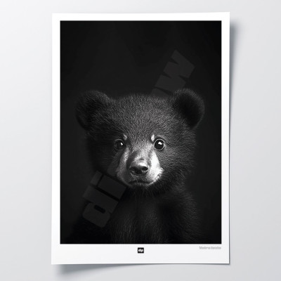 Schwarz-Weiß-Poster, minimalistische Fotografie, Design-Wanddekoration eines Braunbär-Babys für moderne Innenräume. Schwarz-Weiß-Poster, minimalistische Fotografie, Design-Wanddekoration eines Braunbär-Babys für moderne Innenräume.