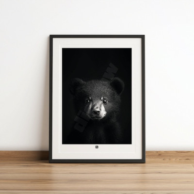 Schwarz-Weiß-Poster, minimalistische Fotografie, Design-Wanddekoration eines Braunbär-Babys für moderne Innenräume. Schwarz-Weiß-Poster, minimalistische Fotografie, Design-Wanddekoration eines Braunbär-Babys für moderne Innenräume.