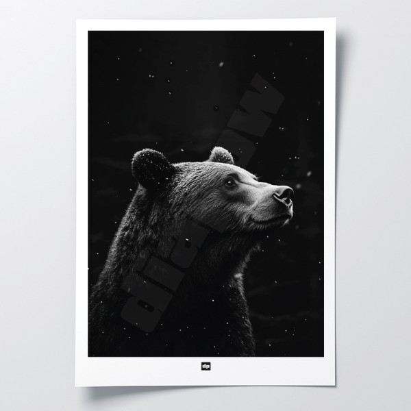 Black and white poster, minimalist photography, design wall decoration of a woodland bear for modern interiors.
