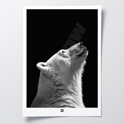 Schwarz-Weiß-Poster, minimalistische Fotografie, Design-Wanddekoration eines Eisbären für moderne Innenräume. Schwarz-Weiß-Poster, minimalistische Fotografie, Design-Wanddekoration eines Eisbären für moderne Innenräume.