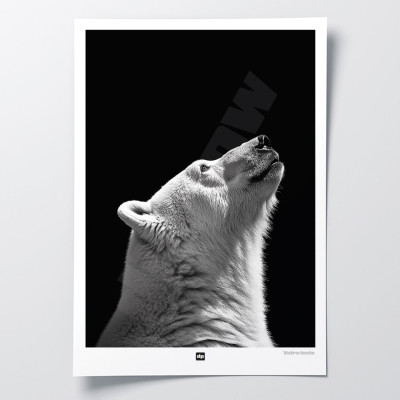 Schwarz-Weiß-Poster, minimalistische Fotografie, Design-Wanddekoration eines Eisbären für moderne Innenräume. Schwarz-Weiß-Poster, minimalistische Fotografie, Design-Wanddekoration eines Eisbären für moderne Innenräume.
