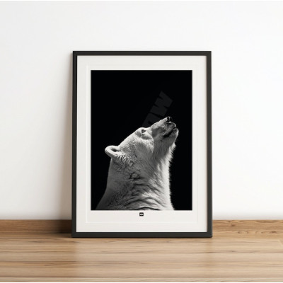 Schwarz-Weiß-Poster, minimalistische Fotografie, Design-Wanddekoration eines Eisbären für moderne Innenräume. Schwarz-Weiß-Poster, minimalistische Fotografie, Design-Wanddekoration eines Eisbären für moderne Innenräume.
