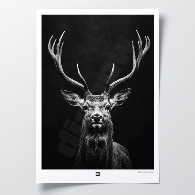 Black and white poster, minimalist photography, design wall decoration of a wood deer for modern interiors.