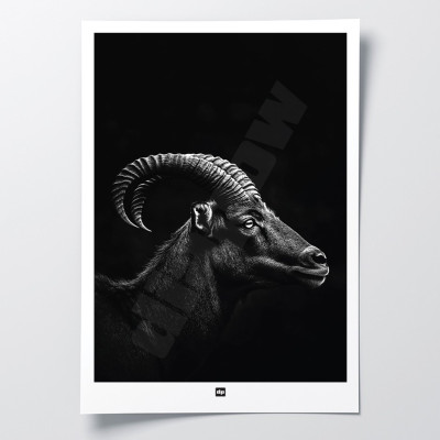 Schwarz-Weiß-Poster, minimalistische Fotografie, Design-Wanddekoration eines Widders aus den Baumwipfeln für moderne Innenräume. Schwarz-Weiß-Poster, minimalistische Fotografie, Design-Wanddekoration eines Widders aus den Baumwipfeln für moderne Innenräume.