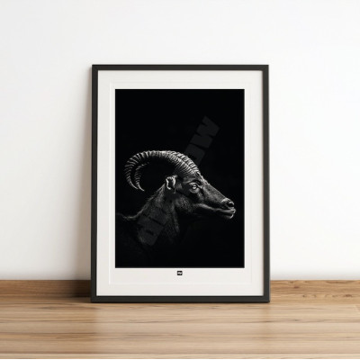 Schwarz-Weiß-Poster, minimalistische Fotografie, Design-Wanddekoration eines Widders aus den Baumwipfeln für moderne Innenräume. Schwarz-Weiß-Poster, minimalistische Fotografie, Design-Wanddekoration eines Widders aus den Baumwipfeln für moderne Innenräume.