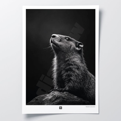 Black and white poster, minimalist photography, design wall decoration of a groundhog for a modern interior.