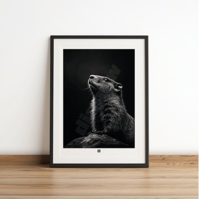Affiche noir et blanc, photographie minimaliste, décoration murale design d'une marmotte pour intérieur moderne.