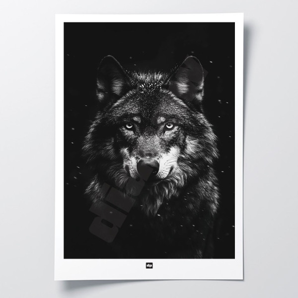 Schwarz-Weiß-Poster, minimalistische Fotografie, Design-Wanddekoration eines Wolfs für moderne Innenräume.