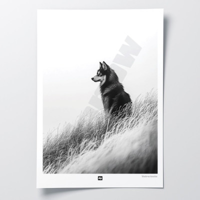 Schwarz-Weiß-Poster, minimalistische Fotografie, Design-Wanddekoration mit einem Wolf der Nähe für moderne Innenräume. Schwarz-Weiß-Poster, minimalistische Fotografie, Design-Wanddekoration mit einem Wolf der Nähe für moderne Innenräume.