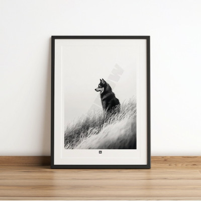 Schwarz-Weiß-Poster, minimalistische Fotografie, Design-Wanddekoration mit einem Wolf der Nähe für moderne Innenräume. Schwarz-Weiß-Poster, minimalistische Fotografie, Design-Wanddekoration mit einem Wolf der Nähe für moderne Innenräume.