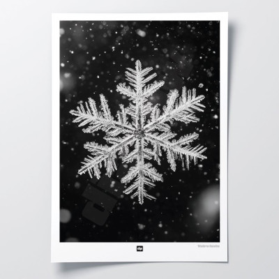 Schwarz-Weiß-Foto einer Schneeflocke. Design-Wandposter Winter für designorientierte und moderne Innendekoration. Schwarz-Weiß-Foto einer Schneeflocke. Design-Wandposter Winter für designorientierte und moderne Innendekoration.