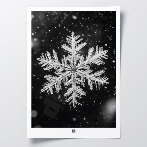 Black and white photo of a snowflake. Winter design wall poster for modern design interior decoration.