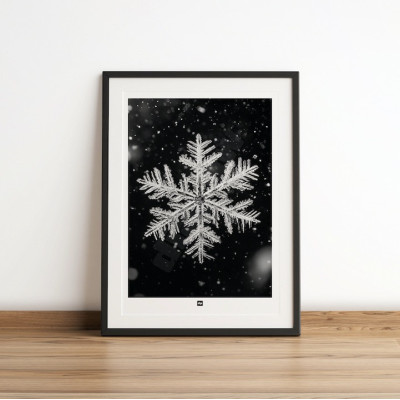 Schwarz-Weiß-Foto einer Schneeflocke. Design-Wandposter Winter für designorientierte und moderne Innendekoration. Schwarz-Weiß-Foto einer Schneeflocke. Design-Wandposter Winter für designorientierte und moderne Innendekoration.