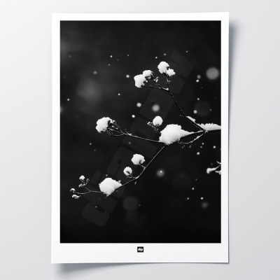 Schwarz-Weiß-Foto eines Zweiges mit Schnee. Design-Wandposter Winter für designorientierte und moderne Innendekoration. Schwarz-Weiß-Foto eines Zweiges mit Schnee. Design-Wandposter Winter für designorientierte und moderne Innendekoration.