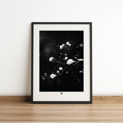Schwarz-Weiß-Foto eines Zweiges mit Schnee. Design-Wandposter Winter für designorientierte und moderne Innendekoration. Schwarz-Weiß-Foto eines Zweiges mit Schnee. Design-Wandposter Winter für designorientierte und moderne Innendekoration.