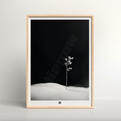 Schwarz-Weiß-Foto eines Zweiges, der das erste Leben symbolisiert. Modernes Design-Winterwandposter. Schwarz-Weiß-Foto eines Zweiges, der das erste Leben symbolisiert. Modernes Design-Winterwandposter.