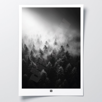 Schwarz-Weiß-Foto eines Waldes im Nebel. Winterliches Wandposter für moderne Innendekoration und Design. Schwarz-Weiß-Foto eines Waldes im Nebel. Winterliches Wandposter für moderne Innendekoration und Design.