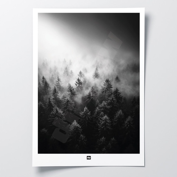 Schwarz-Weiß-Foto eines Waldes im Nebel. Winterliches Wandposter für moderne Innendekoration und Design.