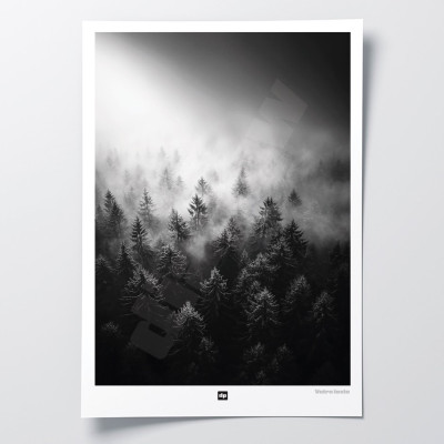 Schwarz-Weiß-Foto eines Waldes im Nebel. Winterliches Wandposter für moderne Innendekoration und Design. Schwarz-Weiß-Foto eines Waldes im Nebel. Winterliches Wandposter für moderne Innendekoration und Design.
