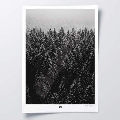 Schwarz-Weiß-Foto eines Tannenwaldes aus der Vogelperspektive. Winterliches Wandposter für moderne Innendekoration. Schwarz-Weiß-Foto eines Tannenwaldes aus der Vogelperspektive. Winterliches Wandposter für moderne Innendekoration.