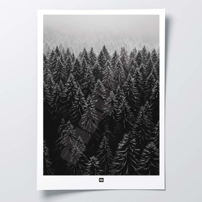 Schwarz-Weiß-Foto eines Tannenwaldes aus der Vogelperspektive. Winterliches Wandposter für moderne Innendekoration. Schwarz-Weiß-Foto eines Tannenwaldes aus der Vogelperspektive. Winterliches Wandposter für moderne Innendekoration.