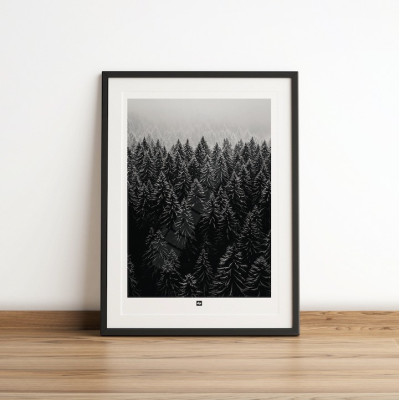 Schwarz-Weiß-Foto eines Tannenwaldes aus der Vogelperspektive. Winterliches Wandposter für moderne Innendekoration. Schwarz-Weiß-Foto eines Tannenwaldes aus der Vogelperspektive. Winterliches Wandposter für moderne Innendekoration.