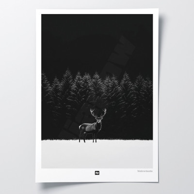 Schwarz-Weiß-Poster, Fotografie eines majestätischen Hirsches in einer schneebedeckten Grasebene mit Wald. Schwarz-Weiß-Poster, Fotografie eines majestätischen Hirsches in einer schneebedeckten Grasebene mit Wald.