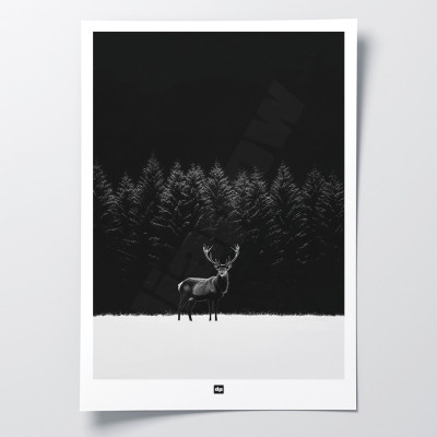 Schwarz-Weiß-Poster, Fotografie eines majestätischen Hirsches in einer schneebedeckten Grasebene mit Wald. Schwarz-Weiß-Poster, Fotografie eines majestätischen Hirsches in einer schneebedeckten Grasebene mit Wald.