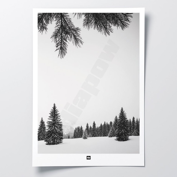 Schwarz-Weiß-Foto von einer Ebene mit verschneiten Tannen in den Bergen. Modernes Design-Winterwandposter.