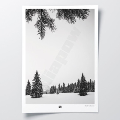Black and white photo of a plain of snow-covered fir trees in the mountains. Modern, designer winter wall hanging. Black and white photo of a plain of snow-covered fir trees in the mountains. Modern, designer winter wall hanging.