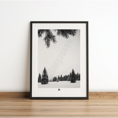Schwarz-Weiß-Foto von einer Ebene mit verschneiten Tannen in den Bergen. Modernes Design-Winterwandposter. Schwarz-Weiß-Foto von einer Ebene mit verschneiten Tannen in den Bergen. Modernes Design-Winterwandposter.