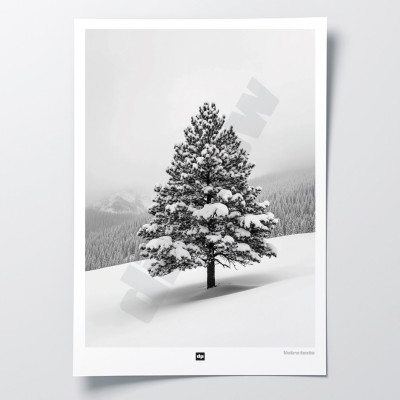 Black and white photo of a fir tree in a snowy mountain landscape. Modern, designer winter wall hanging.