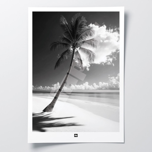 Schwarz-Weiß-Foto von einem paradiesischen Strand. Beruhigendes Design-Wandposter für moderne Innendekoration.
