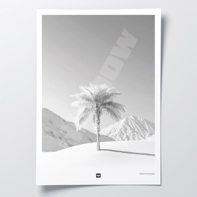 Schwarz-Weiß-Foto einer Palme inmitten einer verschneiten Landschaft. Beruhigendes Design-Wandposter. Schwarz-Weiß-Foto einer Palme inmitten einer verschneiten Landschaft. Beruhigendes Design-Wandposter.