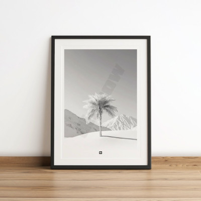 Schwarz-Weiß-Foto einer Palme inmitten einer verschneiten Landschaft. Beruhigendes Design-Wandposter. Schwarz-Weiß-Foto einer Palme inmitten einer verschneiten Landschaft. Beruhigendes Design-Wandposter.