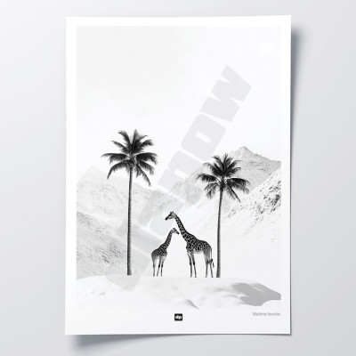 Schwarz-Weiß-Foto einer verschneiten Savanne mit Giraffen. Design-Wandposter für moderne Innendekoration. Schwarz-Weiß-Foto einer verschneiten Savanne mit Giraffen. Design-Wandposter für moderne Innendekoration.