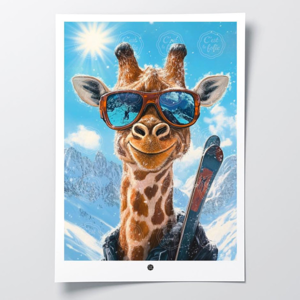 Discover the C'EST LA FOLIE posters | Colorful & humorous designs