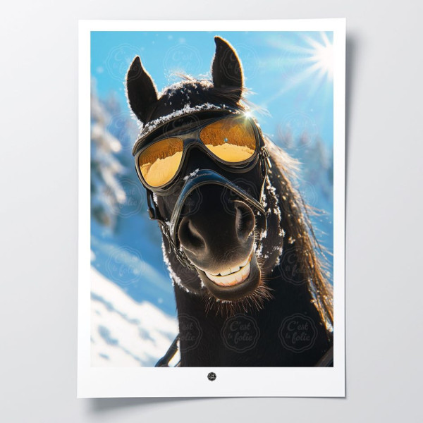 Discover the C'EST LA FOLIE posters | Colorful & humorous designs