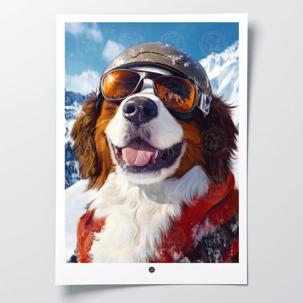 Scopri i poster C'EST LA FOLIE | Design colorati e divertenti