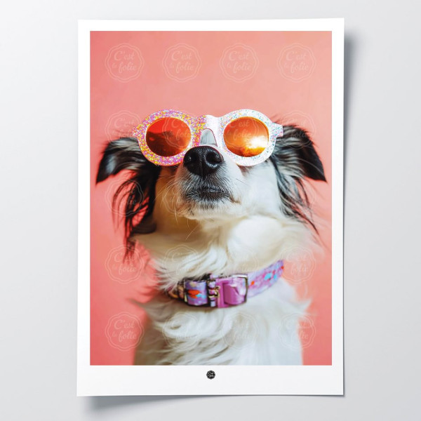 Découvrez les affiches C'EST LA FOLIE | Designs coloré & humoristique