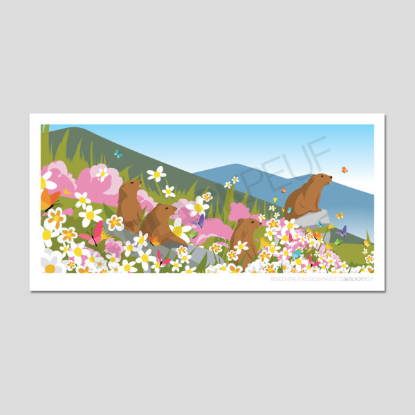 Cartes postales Polaroïd et Panoramique BLACKPEUF souvenir des alpes