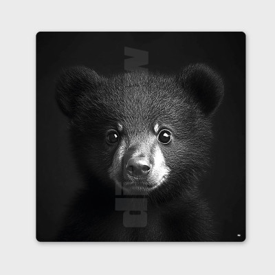 Tableau noir et blanc, photographie minimaliste, décoration murale design d'un bébé ours brun pour intérieur moderne. Tableau noir et blanc, photographie minimaliste, décoration murale design d'un bébé ours brun pour intérieur moderne.