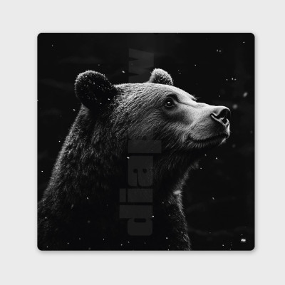 Tableau noir et blanc, photographie minimaliste, décoration murale design d'un ours des bois pour intérieur moderne. Tableau noir et blanc, photographie minimaliste, décoration murale design d'un ours des bois pour intérieur moderne.