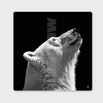 Quadro in bianco e nero, fotografia minimalista, decorazione murale di design con un orso polare per interni moderni. Quadro in bianco e nero, fotografia minimalista, decorazione murale di design con un orso polare per interni moderni.