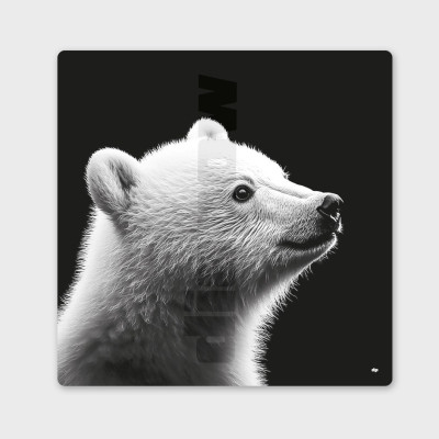 Tableau noir et blanc, photographie minimaliste, décoration murale design d'un bébé ours polaire pour intérieur moderne. Tableau noir et blanc, photographie minimaliste, décoration murale design d'un bébé ours polaire pour intérieur moderne.