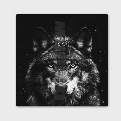 Tableau noir et blanc, photographie minimaliste, décoration murale design d'un loup pour intérieur moderne. Tableau noir et blanc, photographie minimaliste, décoration murale design d'un loup pour intérieur moderne.