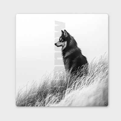 Tableau noir et blanc, photographie minimaliste, décoration murale design d'un loup des près pour intérieur moderne. Tableau noir et blanc, photographie minimaliste, décoration murale design d'un loup des près pour intérieur moderne.
