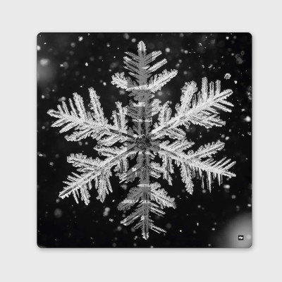 Photo noir et blanc d'un flocon de neige. Tableau murale design d'hiver pour décoration intérieure design et moderne. Photo noir et blanc d'un flocon de neige. Tableau murale design d'hiver pour décoration intérieure design et moderne.