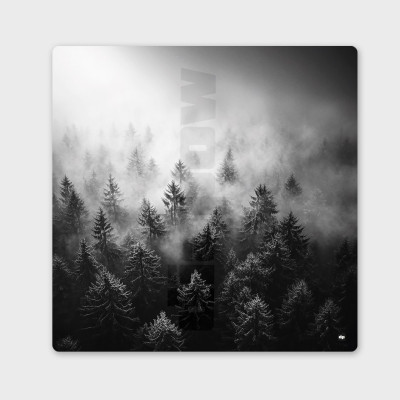 Photo noir et blanc d’une forêt sous la brume. Tableau murale d'hiver pour décoration intérieure moderne et design. Photo noir et blanc d’une forêt sous la brume. Tableau murale d'hiver pour décoration intérieure moderne et design.